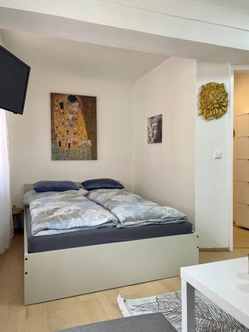 Milena Apartment Graz Esterno foto